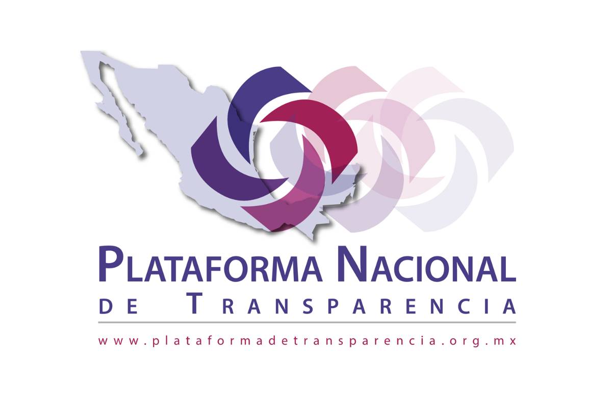 Alertan por varias fallas en la Plataforma de Transparencia