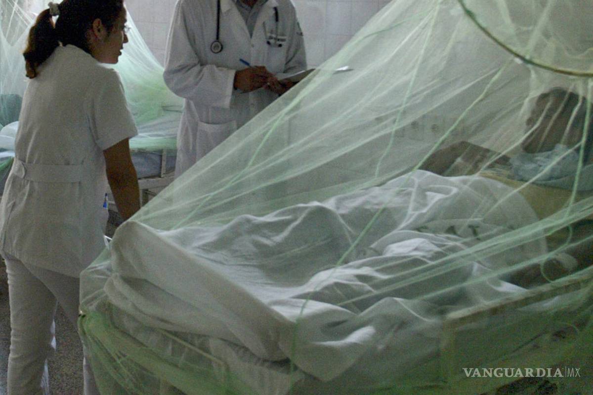 El dengue es mucho más peligroso que Zika: OMS