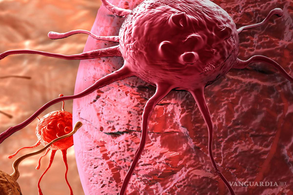 Aprenda a prevenir el cáncer