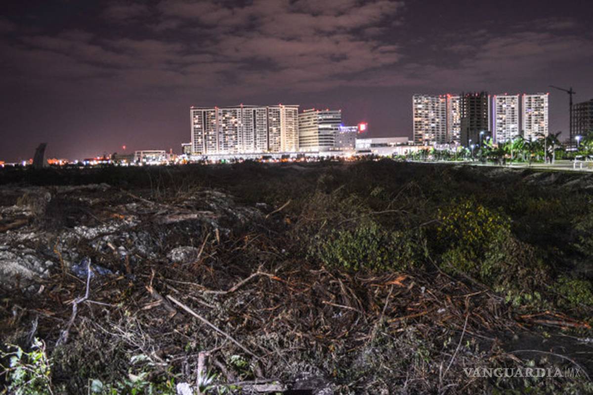 Impacto ambiental en Tajamar es calculado, no hay razones para detener obras: Fonatur
