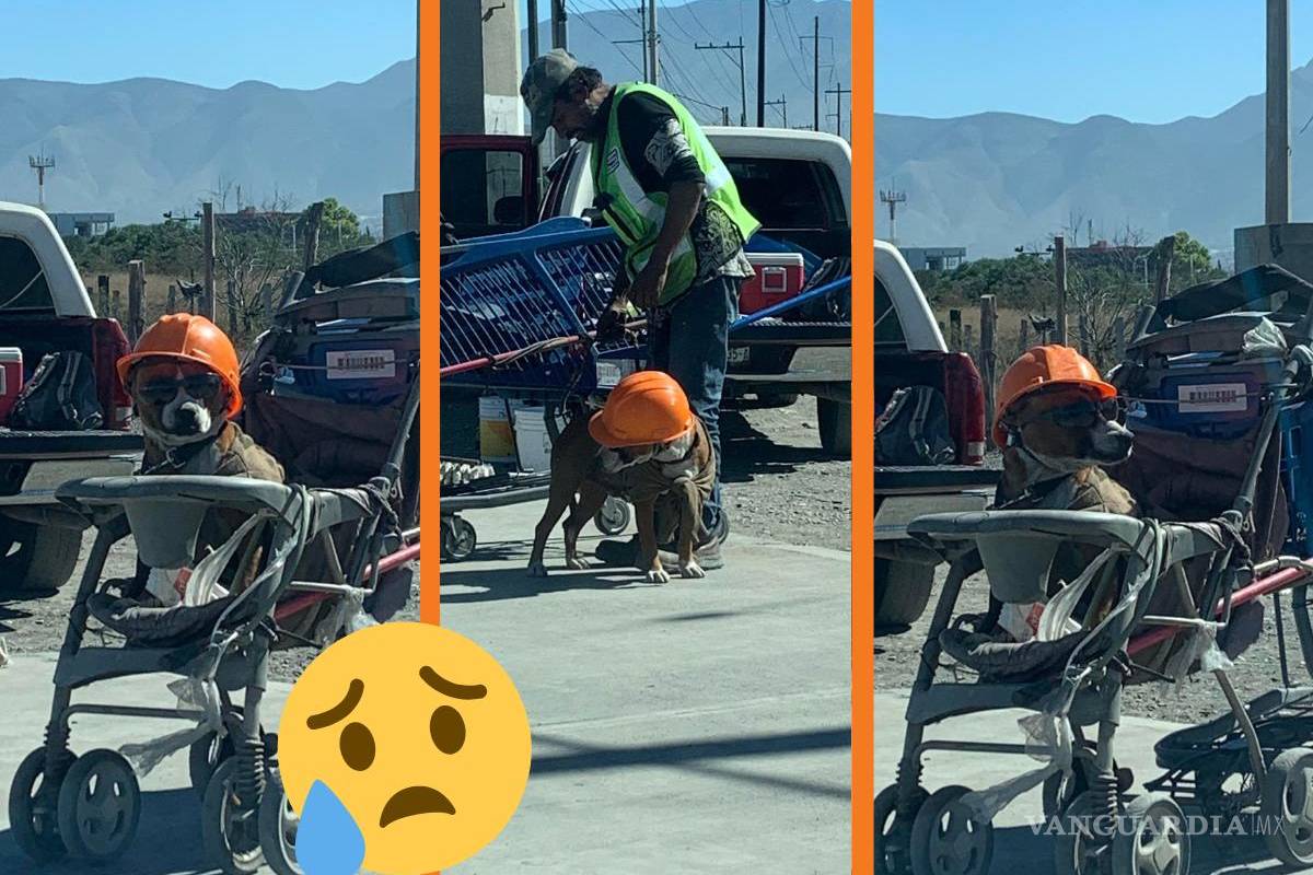 ‘Ayúdenlos a estar juntos’: buscan en redes a ‘Fantasma’, el perrito viral de Saltillo; su dueño no lo ha visto en 15 días