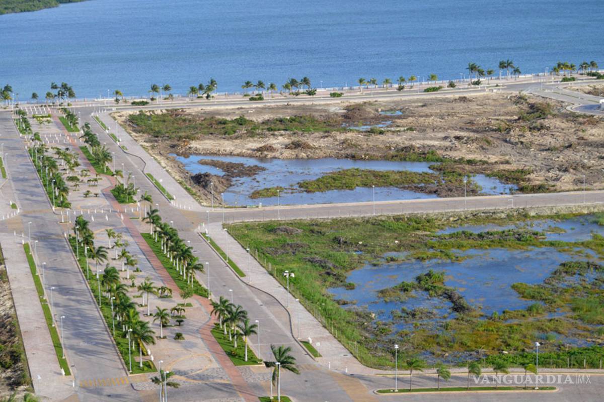 $!Así destruyeron el manglar de Tajamar, en Quintana Roo