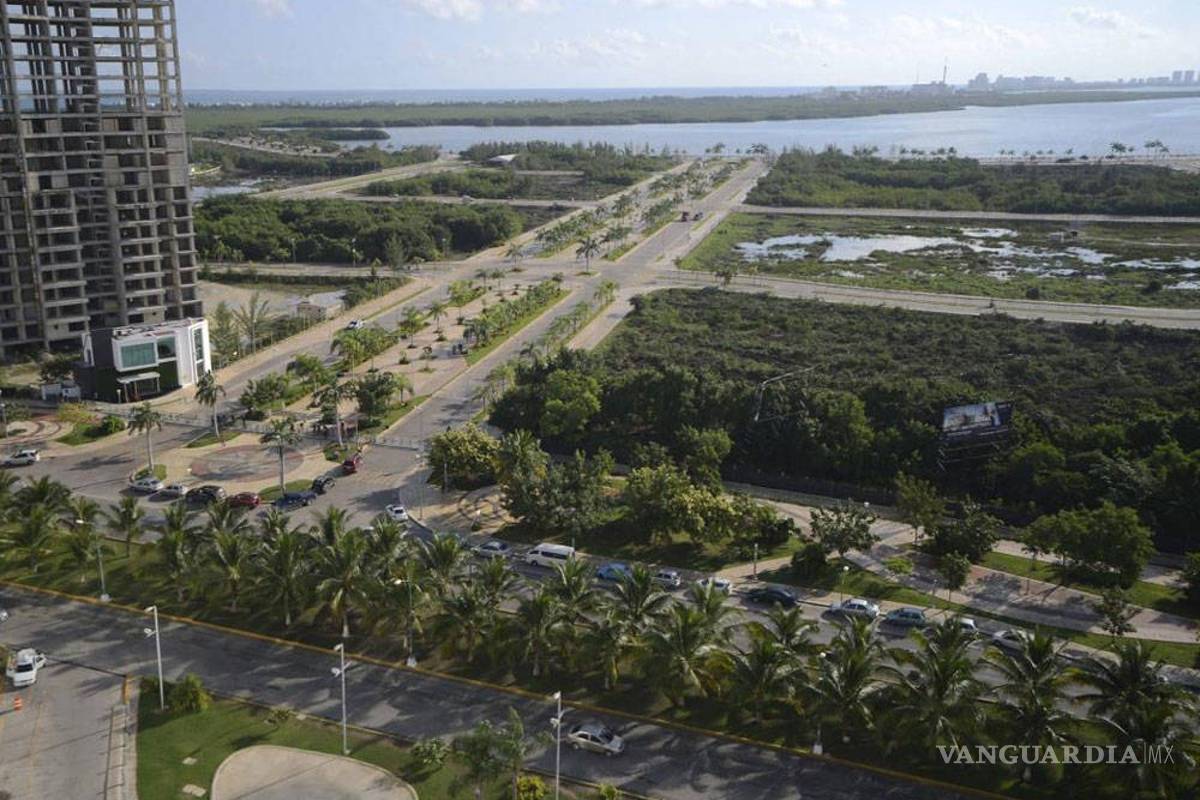 ¿Se regenerará el Manglar Tajamar? Tal vez, pero en 30 años