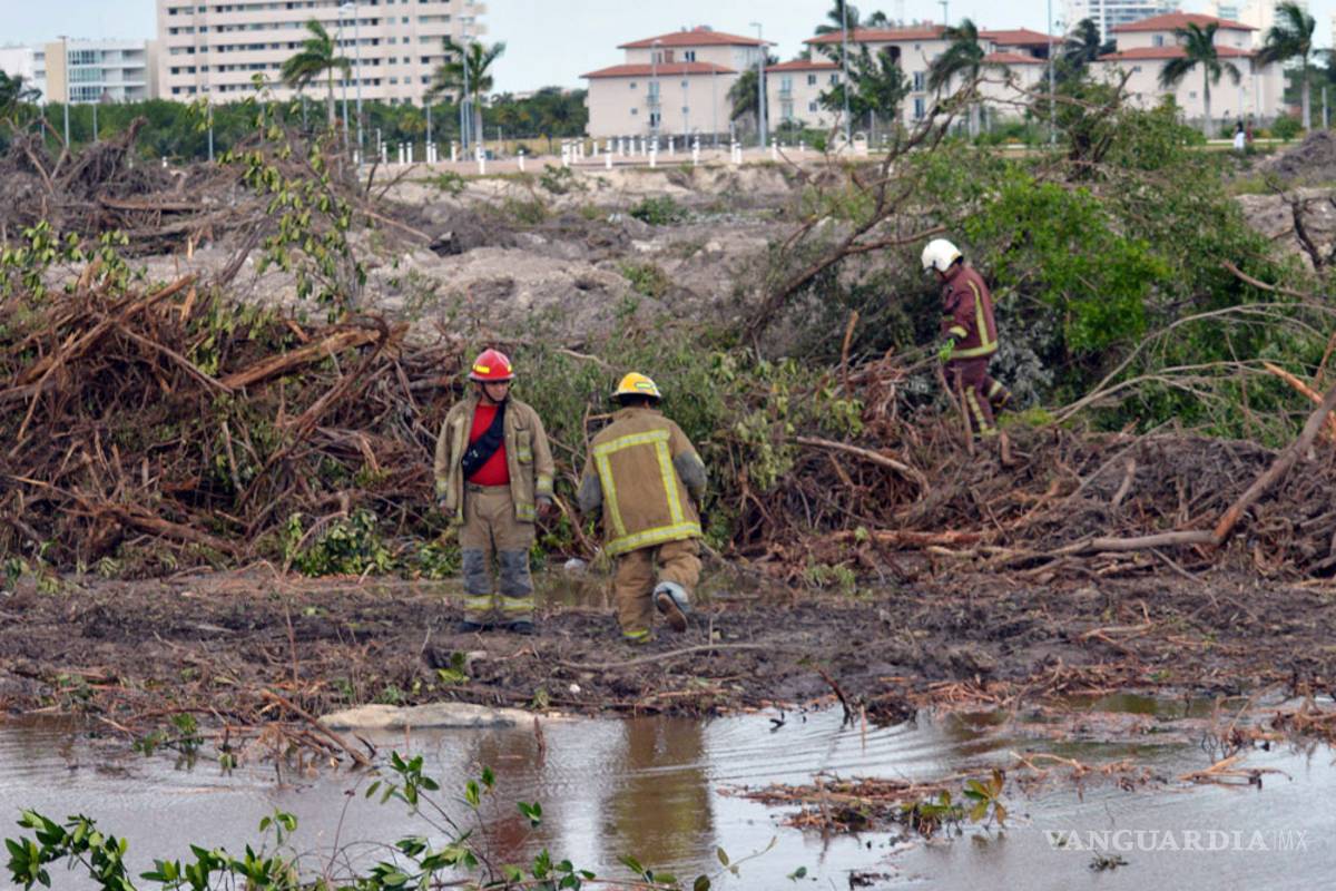 Semarnat justifica la devastación del manglar en Tajamar
