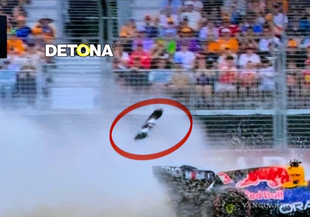 $!Un ave sobrevuela en el Gran Premio de Australia de F1.