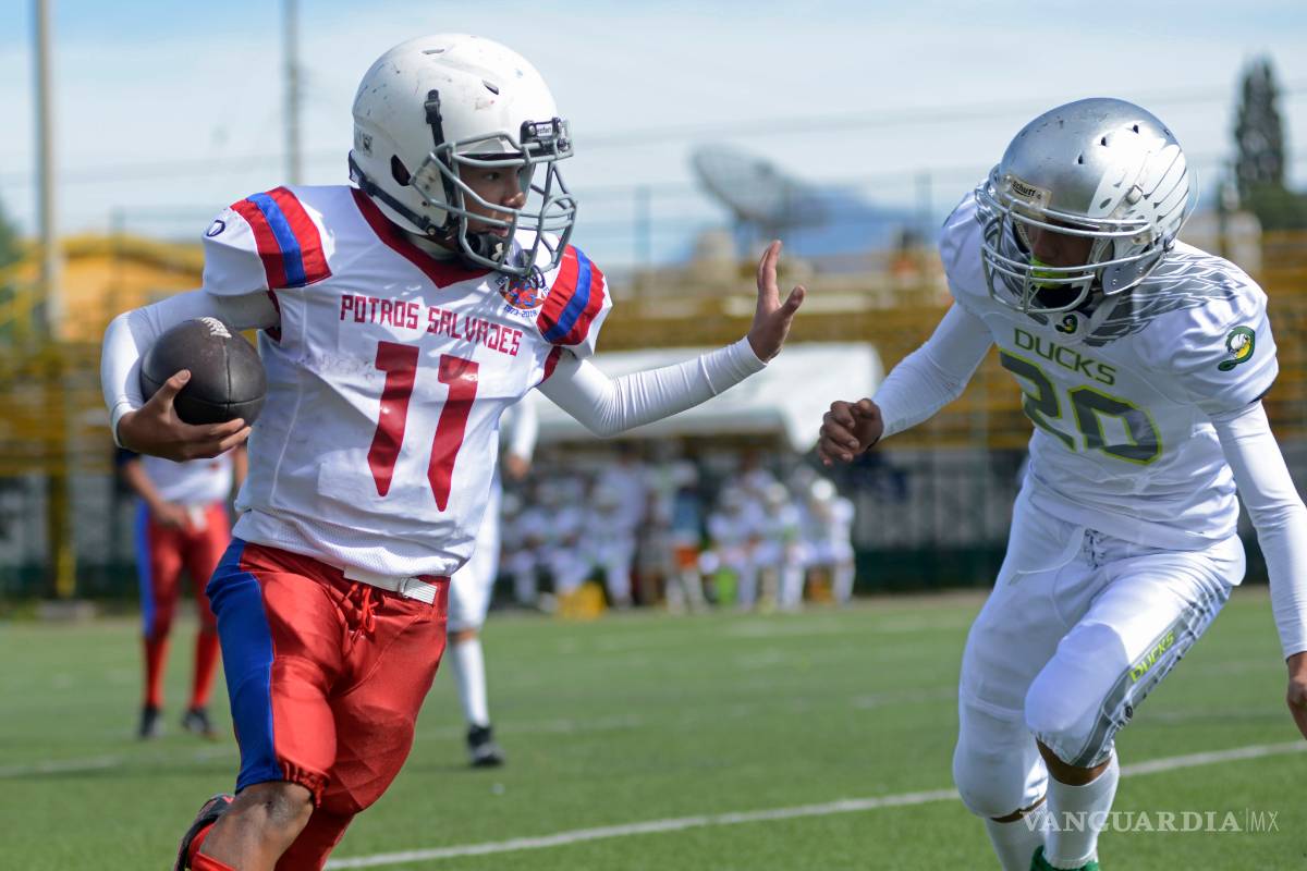 Buscan nueva directiva en la AFAIS