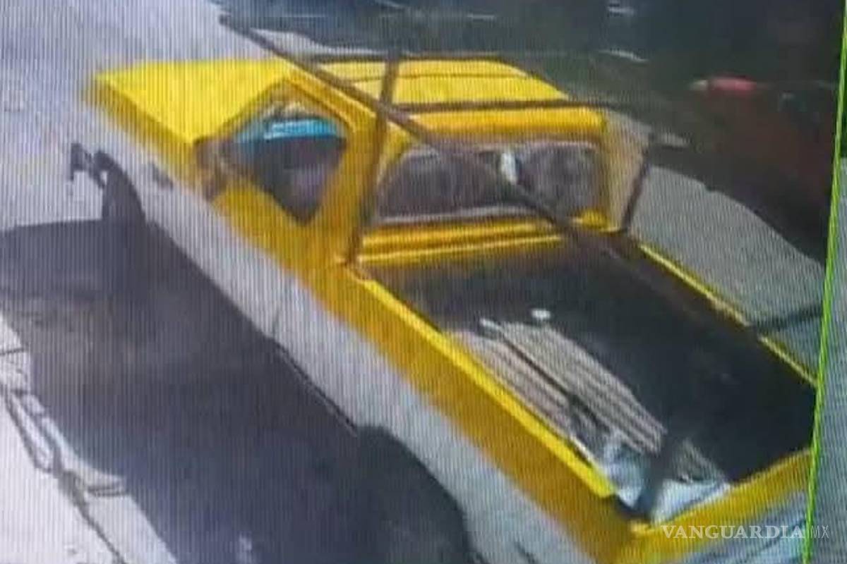 Crueldad animal: perro con 400 garrapatas es abandonado y muere en Saltillo