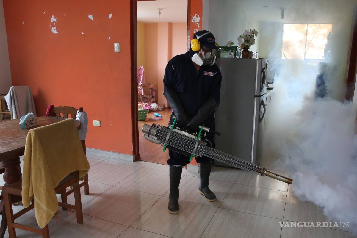 Directoras de la OMS y de la OPS visitan Brasil para evaluar combate al Zika