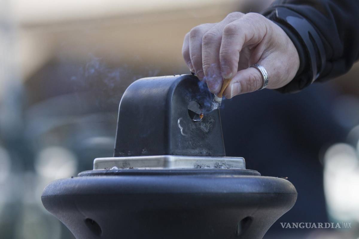 Prohibirá Francia fumar en playas, parques y bosques