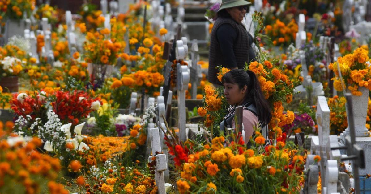 Día de Muertos: habrá vigilancia con cámaras de seguridad del C5 en panteones de la CDMX