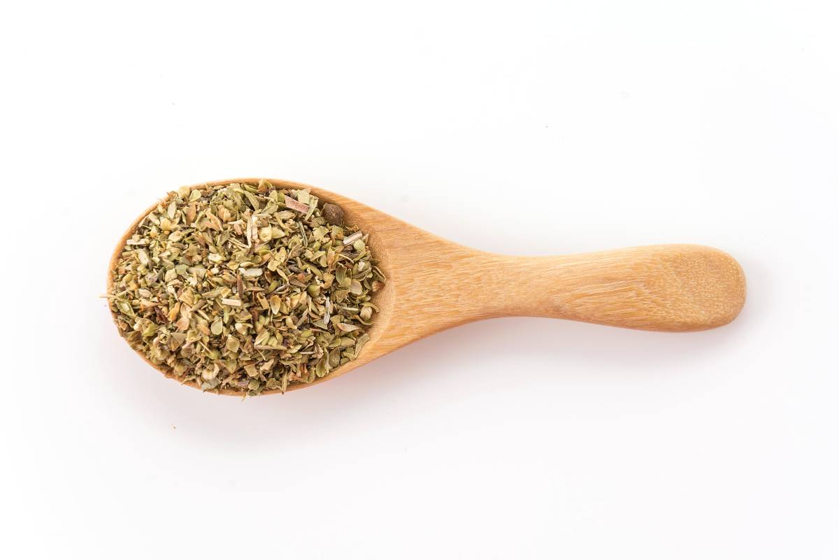 El poder del orégano Coahuila