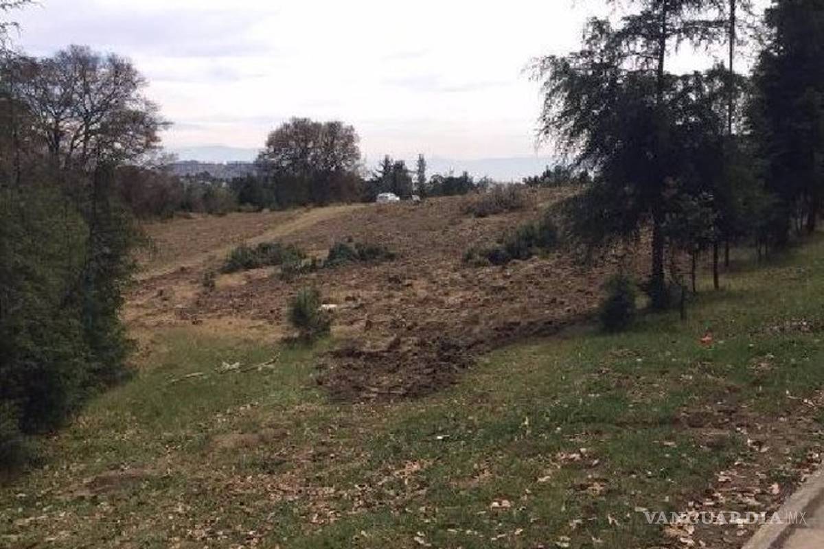 Niña de 10 años tiene 2 meses de embarazo, hombre de 45 la violó