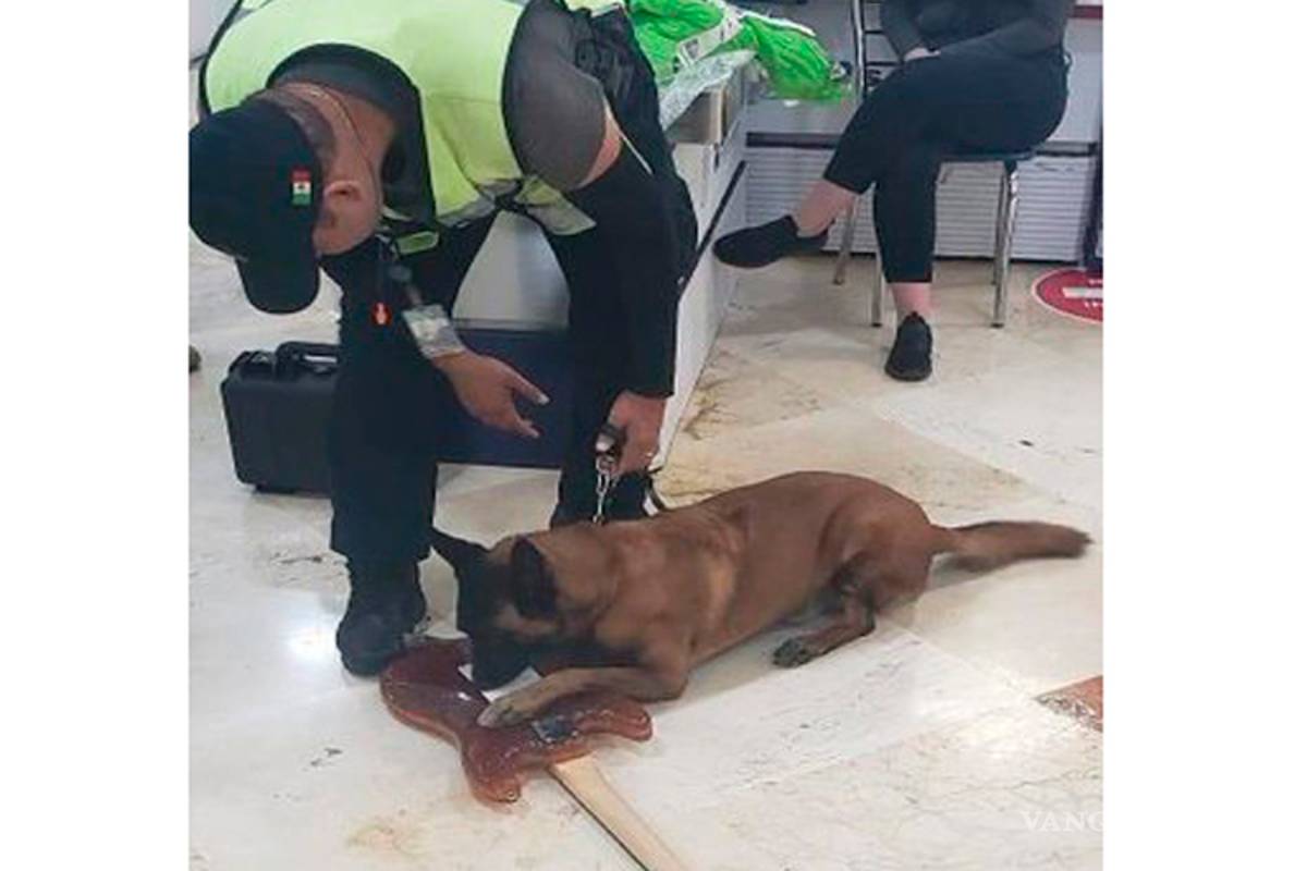 Decomisan guitarra eléctrica en Cancún porque estaba hecha de... ¿cocaína?