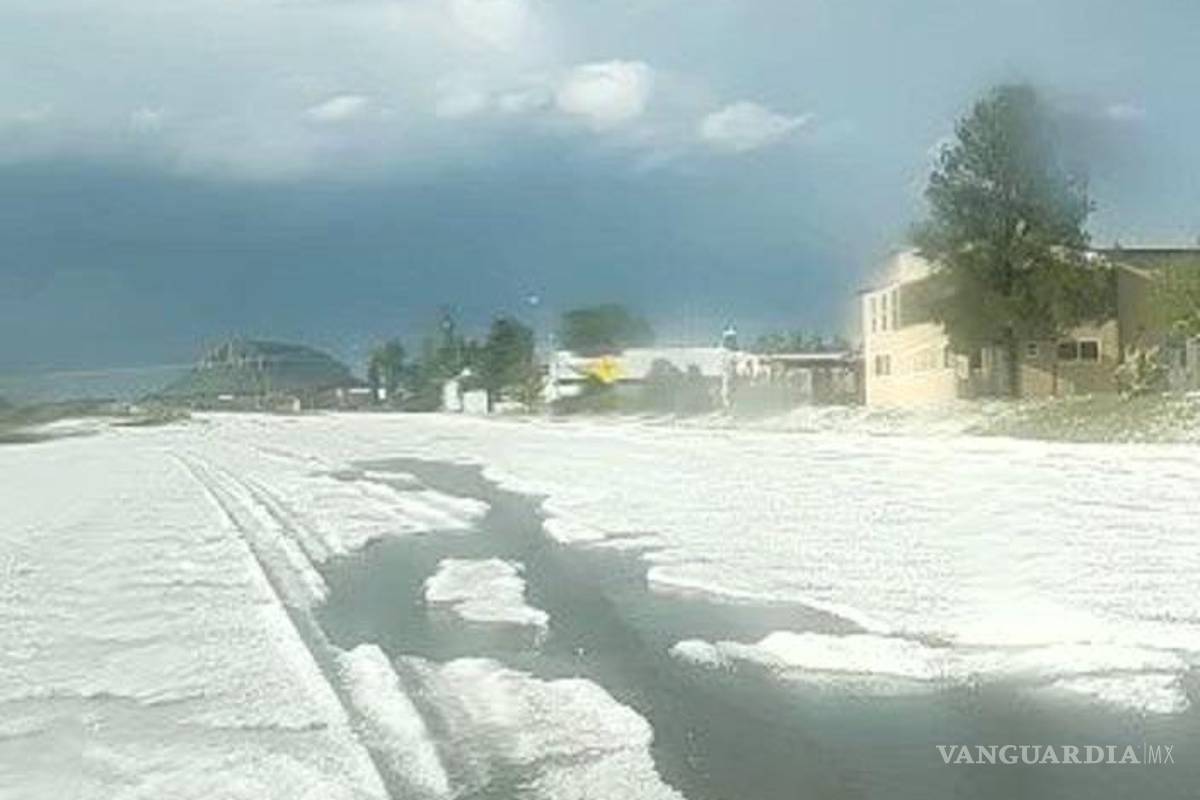 Granizada sorprendió en Chihuahua, dañó cultivos en mil 500 hectáreas