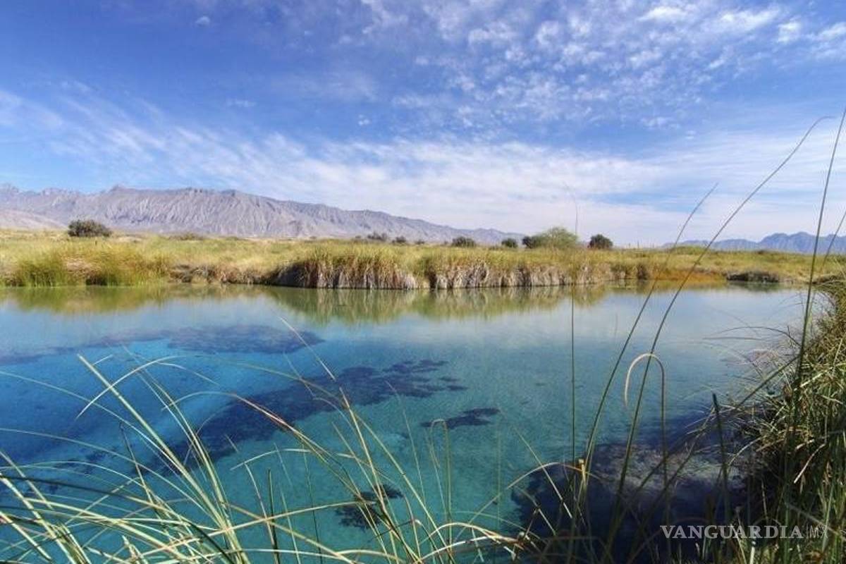 Profepa y Guardia Nacional clausuran ranchos ecológicos en Cuatro Ciénegas