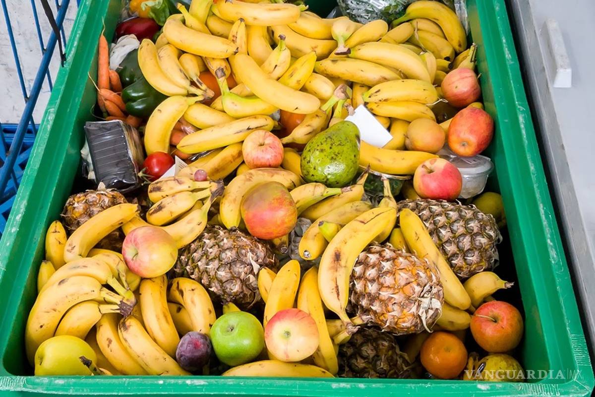 40 % de los alimentos cultivados son desperdiciados