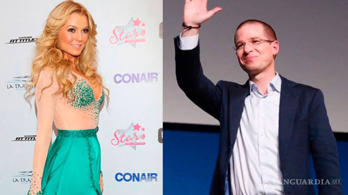 Marjorie de Sousa cuenta con la protección de Ricardo Anaya