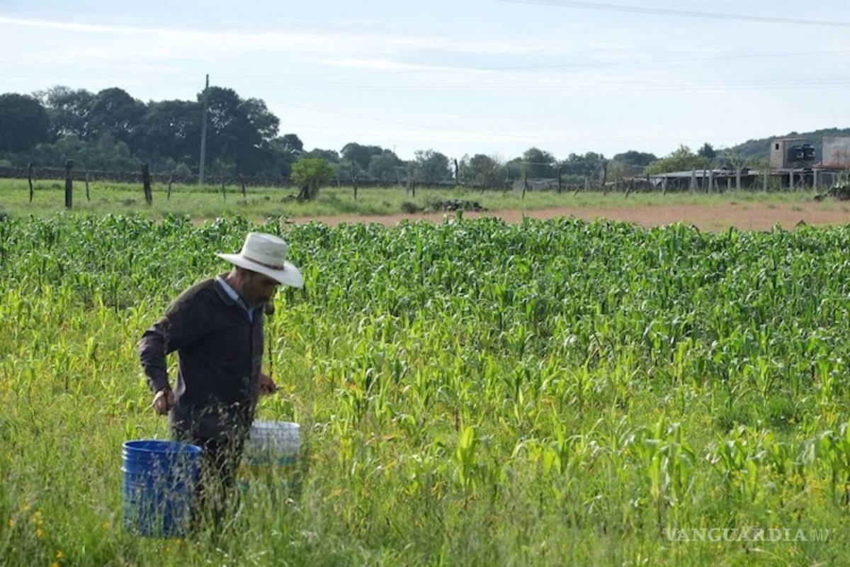 Conagua regaló 31% del agua a Femsa, Nestlé, Bachoco, Heineken y Pepsi; 66.6% del territorio sufre sequía