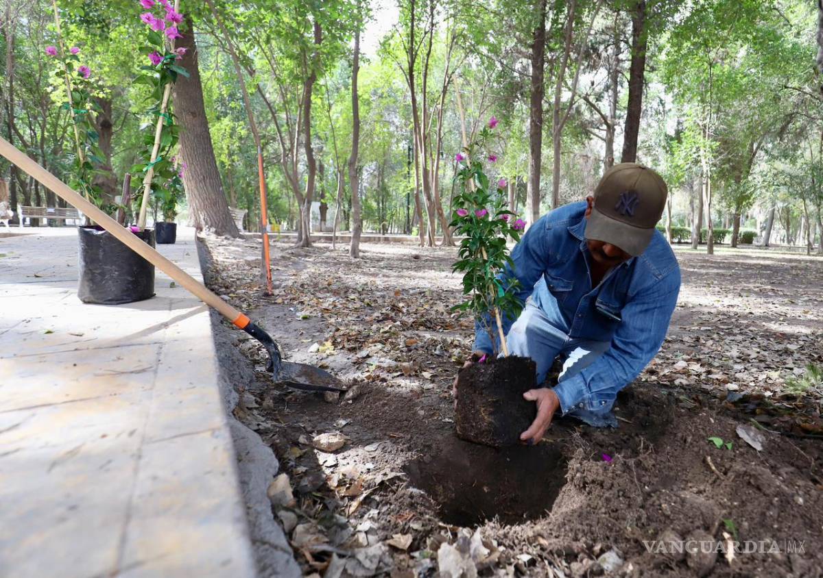 $!Las acciones representan un respeto al valor histórico y social del sitio emblemático.