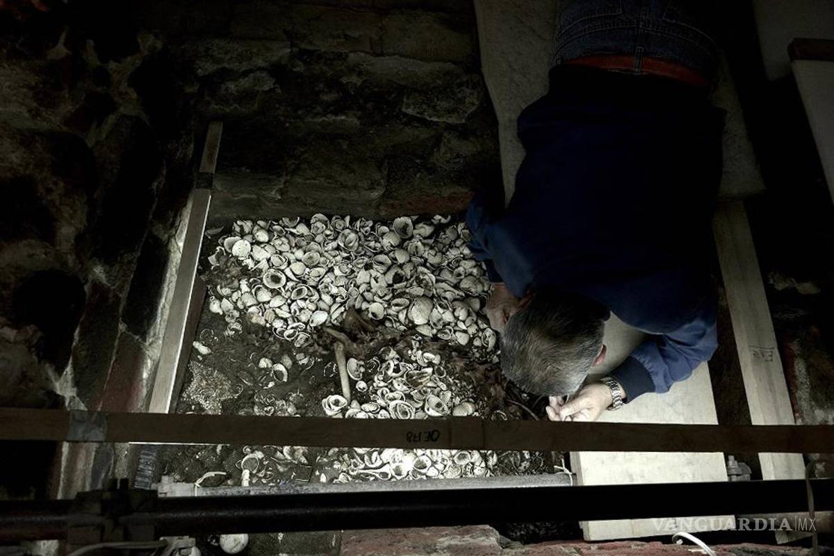 Descubren en CDMX en una excavación del Templo Mayor la ofrenda más grande de estrellas de mar