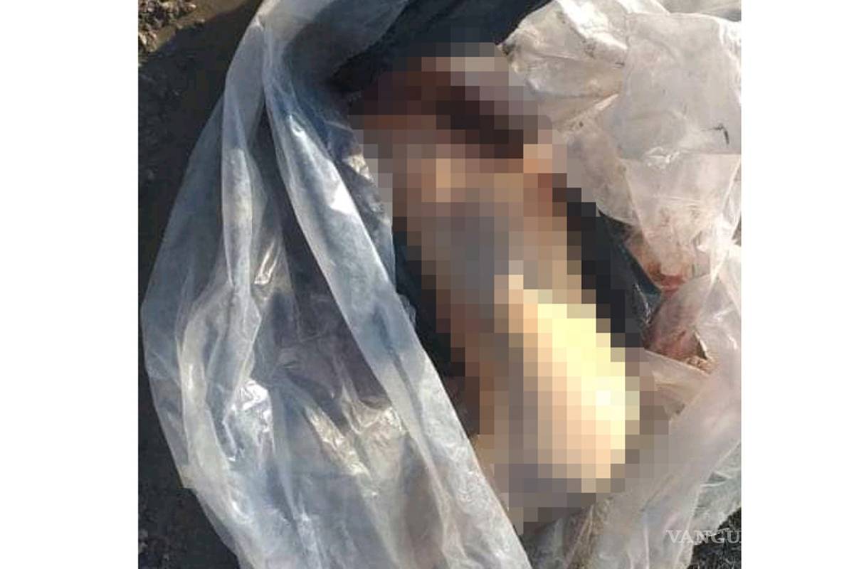 Hallan embolado cadáver desnudo de mujer en Torreón