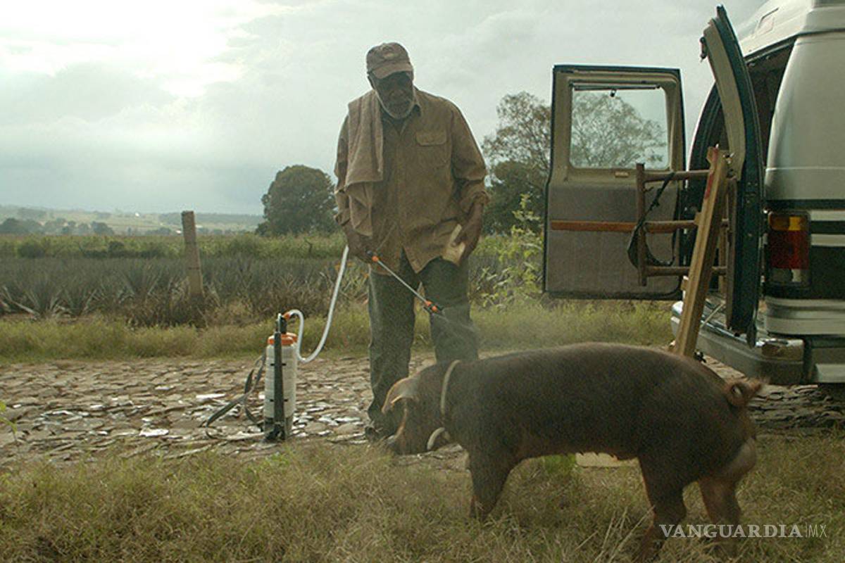 "Mr. Pig" es una declaración de amor a México: Diego Luna