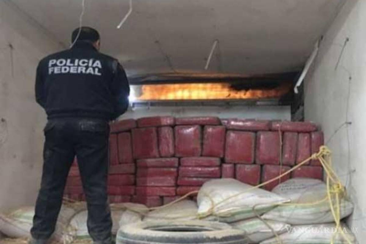 Aseguran más de una tonelada de mariguana en Coahuila; la transportaban en pastura de ganado