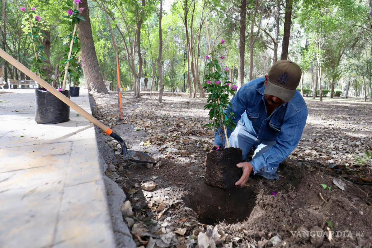 $!Las acciones representan un respeto al valor histórico y social del sitio emblemático.