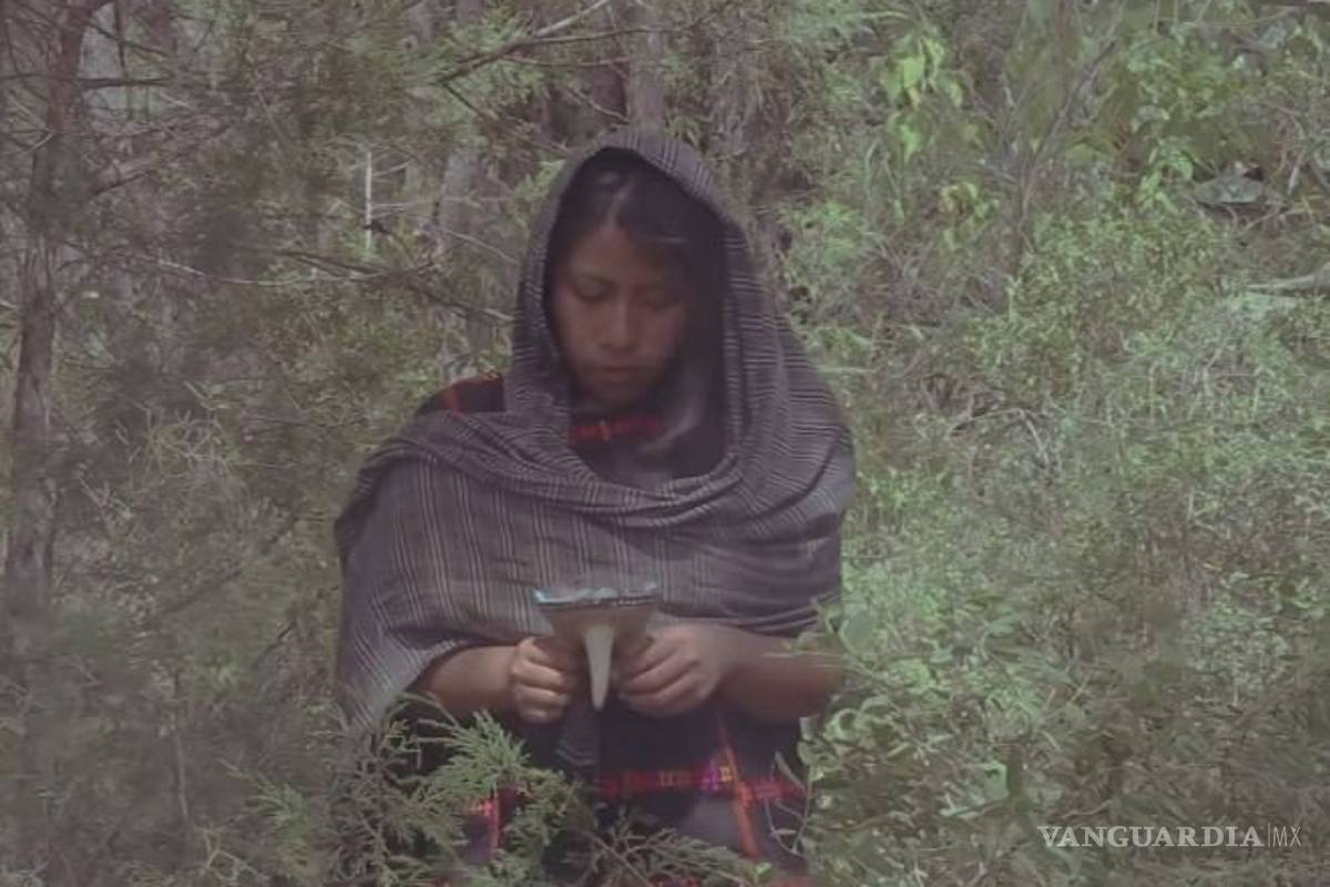 Así fue el siguiente trabajo actoral de Yalitza Aparicio después de Roma (Video)