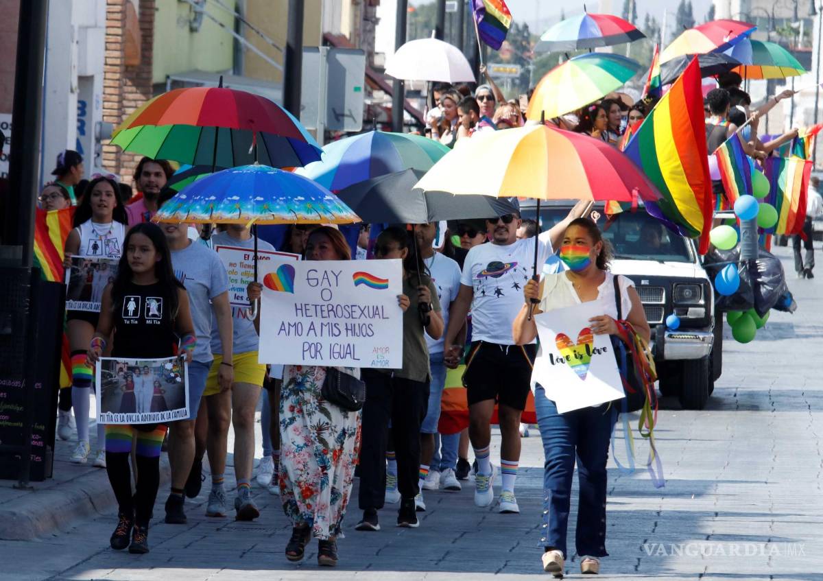 $!Originalmente, la Suprema Corte de Justicia de la Nación tomó como grupos vulnerables a miembros de la comunidad LGBTTTIQ+, personas con discapacidad y de grupos indígenas, con el argumento del nivel histórico de discriminación que han padecido.