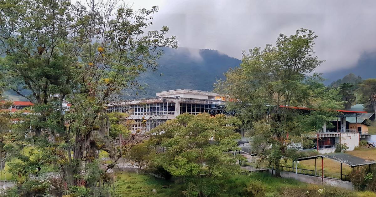 La Hechicera me hechizó