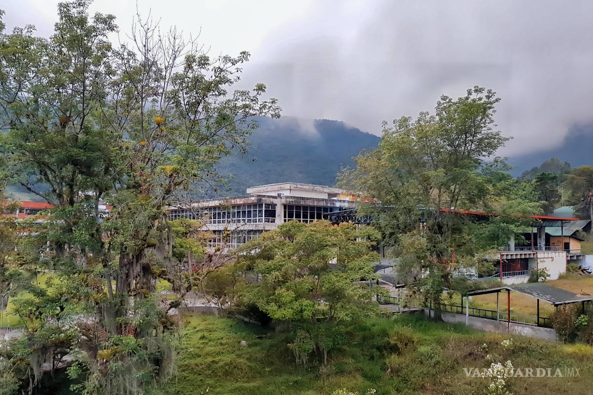 La Hechicera me hechizó