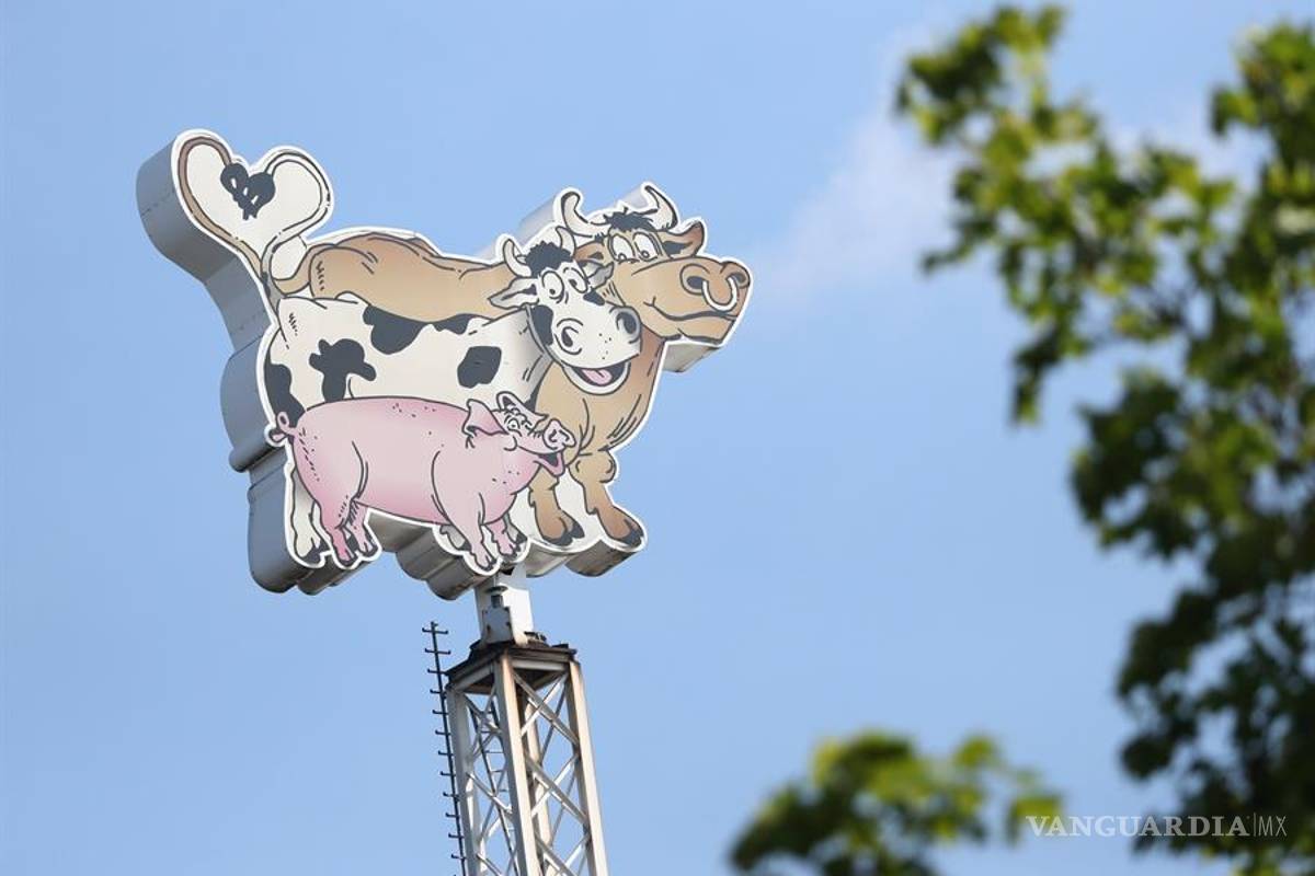 Brote de coronavirus en industria cárnica alemana supera los mil contagios