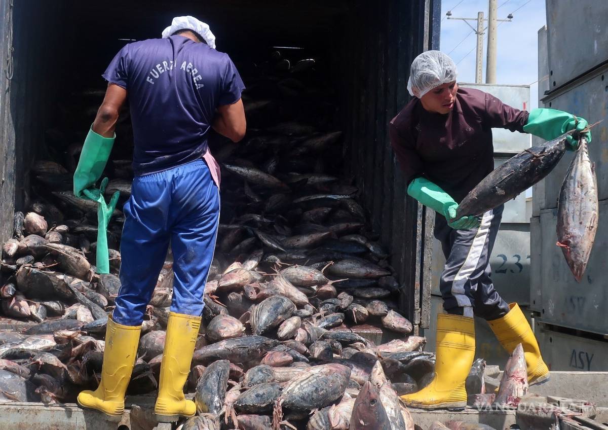$!¿Sabias que las partes más nutritivas del pescado terminan en la basura?