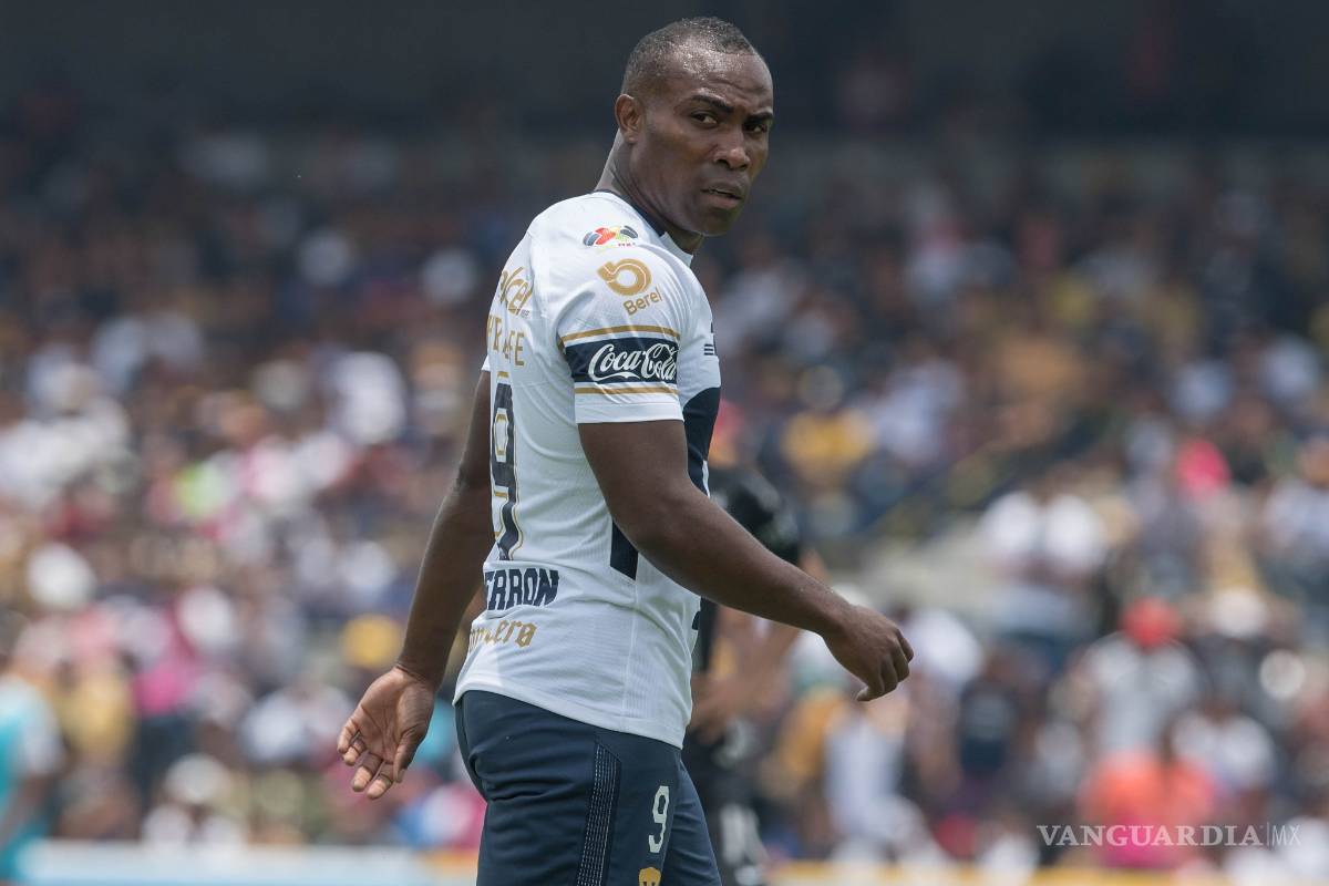 El puma ante la astucia del zorro