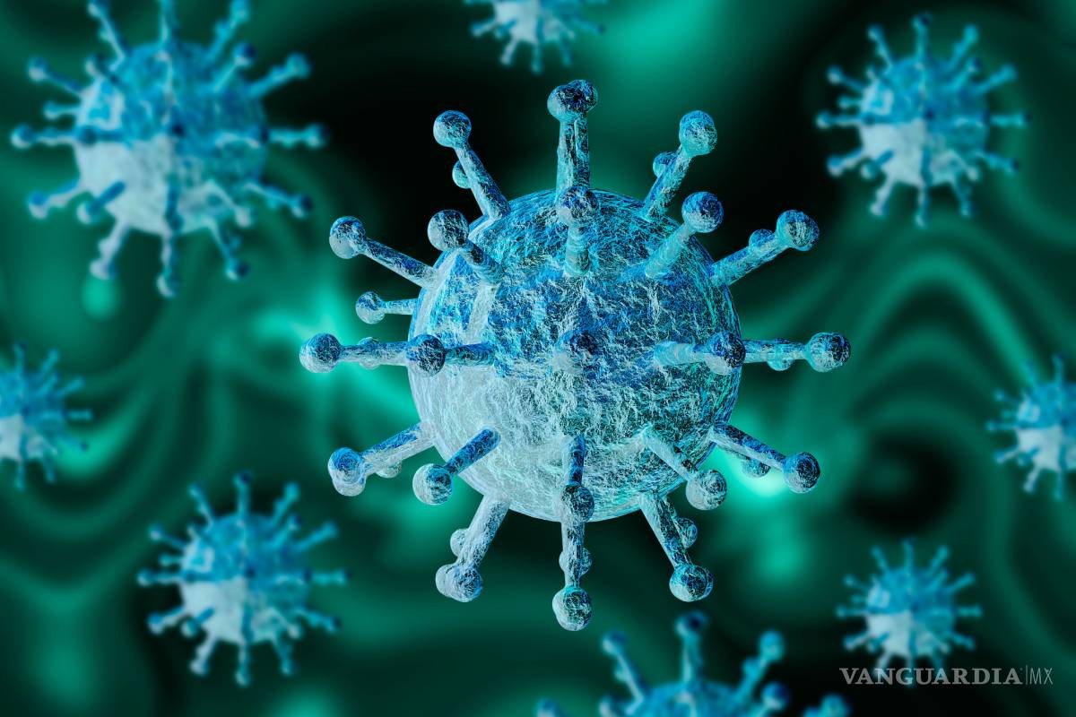 La RAE explica el género del coronavirus