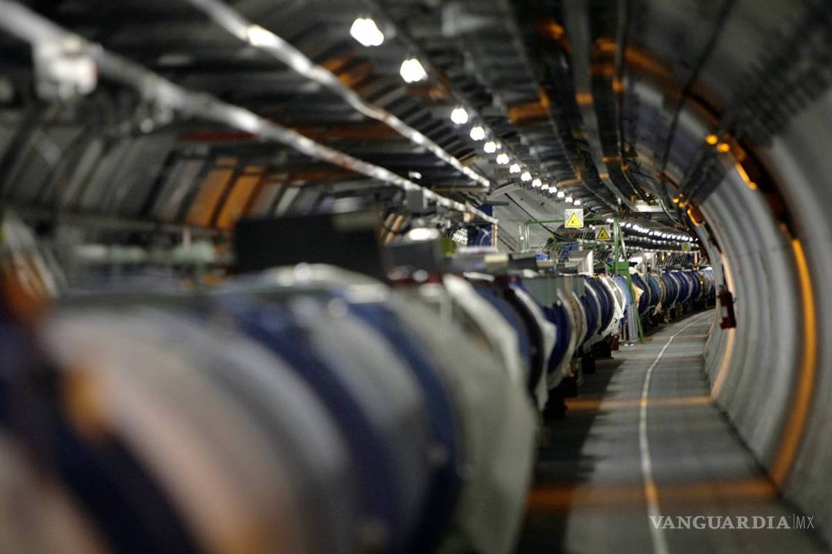 Una comadreja paraliza el acelerador de partículas del CERN
