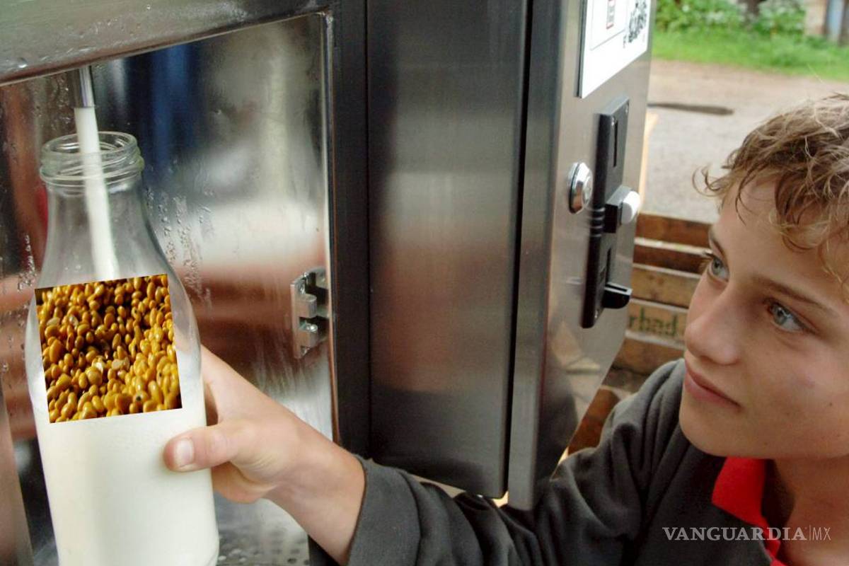 ¿Sabe cuál es la leche adecuada para usted?