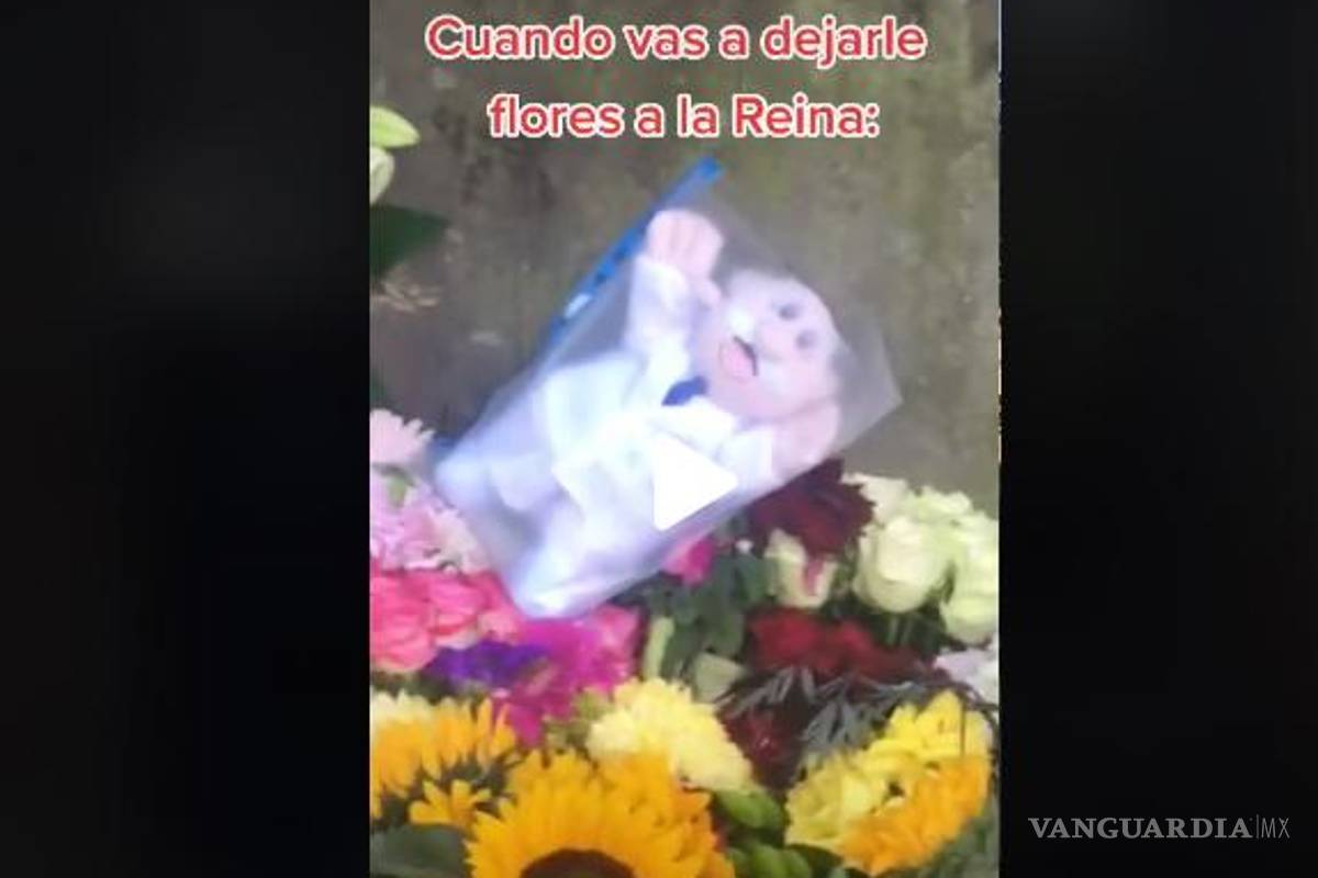 Dr. Simi de peluche en ofrenda a la Reina Isabel II se hace viral