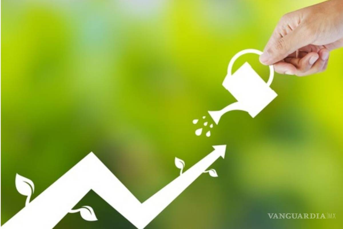 Empresas y medioambiente: las empresas se suman a la preservación del planeta