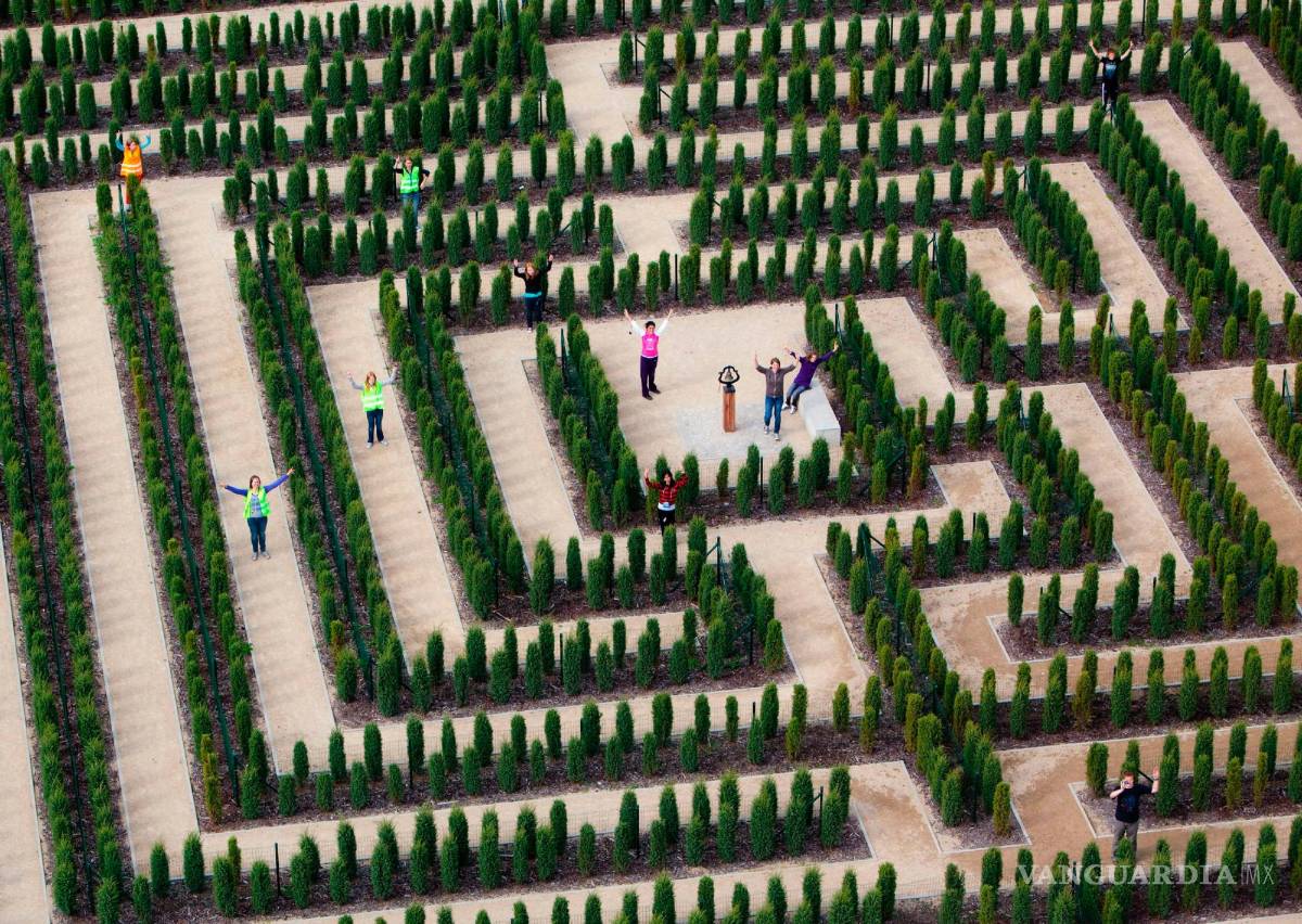 $!Todo el mundo sueña y soñamos, en general, pero no recordamos todos.