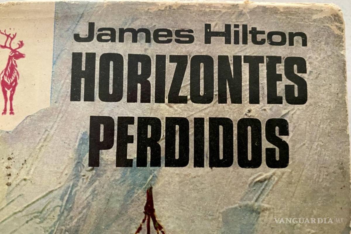 Ximena Peredo: Eres menos dañina en tu rol de burócrata, que como activista