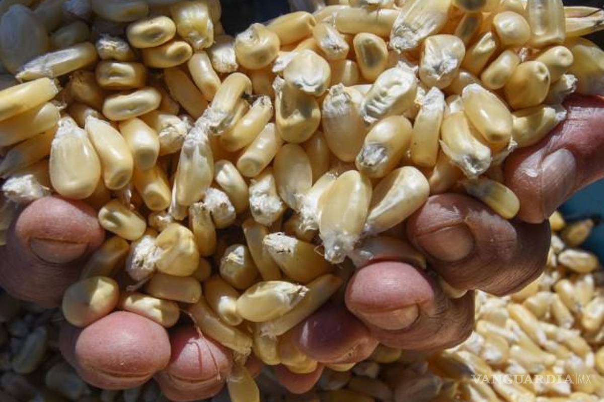 Impactarían aranceles de Trump a Texas, Michigan y California