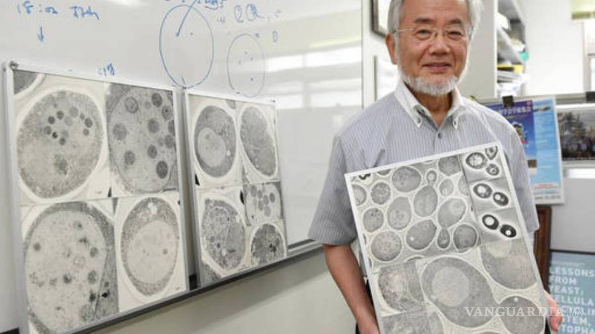 “No esperaba ser el ganador del premio”: Yoshinori Ohsumi