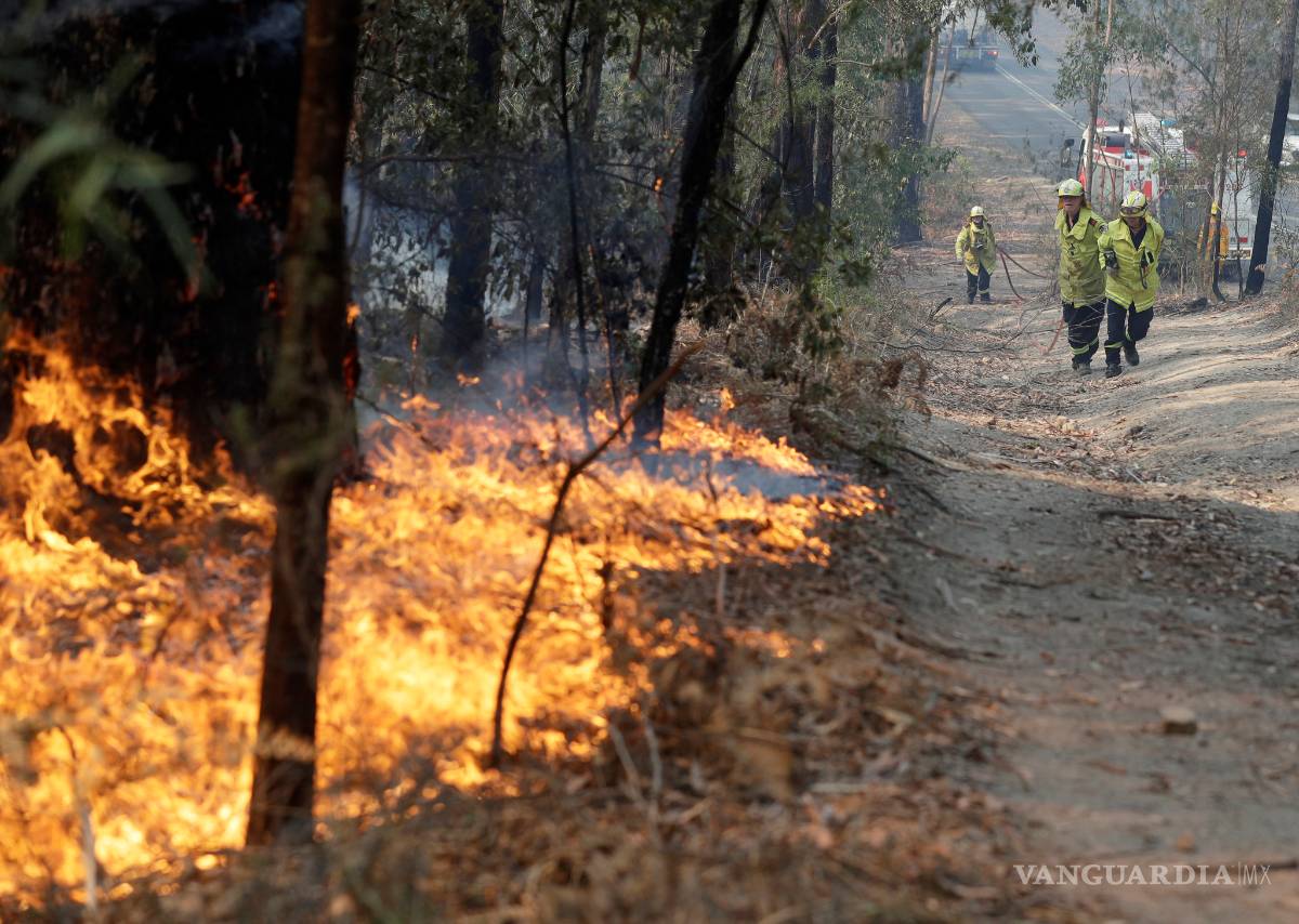 $!Australia vive su propio infierno, mira estas fotos