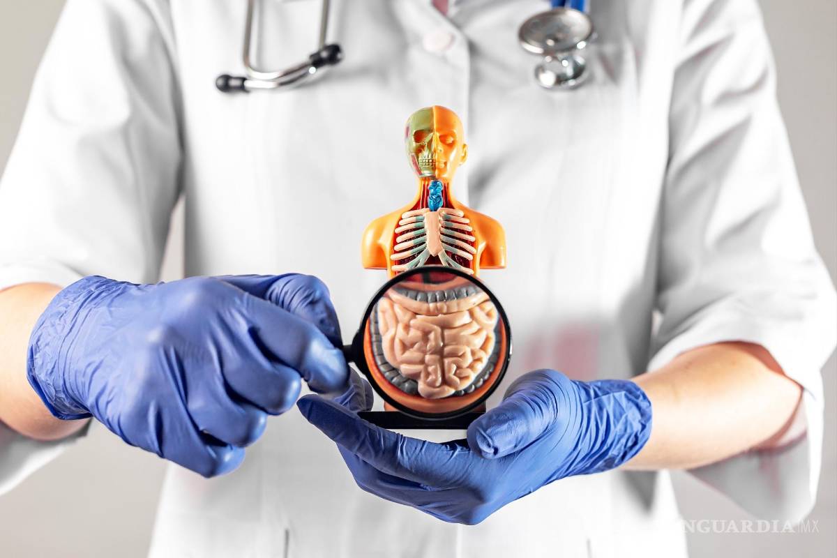 ¿Sabe cómo evitar la gastritis? Vanguardia le dice cómo