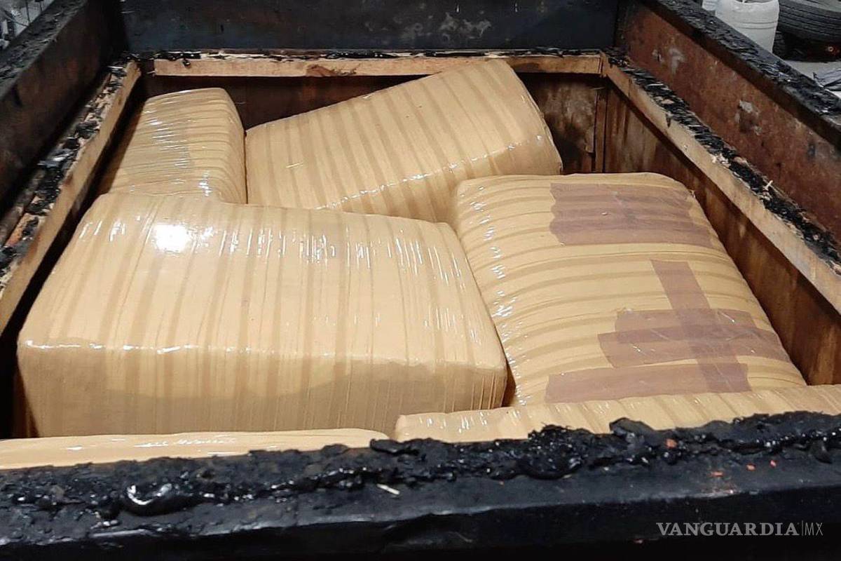 Le dan 8 años de cárcel por transportar marihuana en una empresa de paquetería, en NL