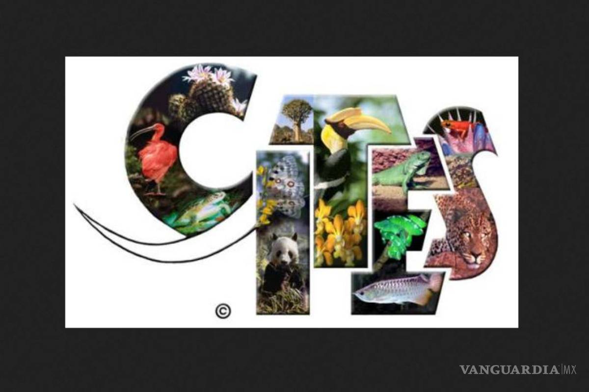 $!Decisiones de vida o muerte en la cumbre de protección de especies