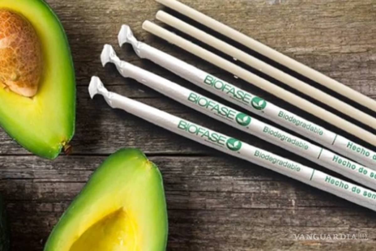 Empresa mexicana fabrica popotes con semilla de aguacate ¡y triunfa en el extranjero!