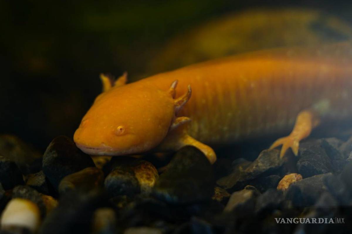 Así fue la semana en temas nacionales (fotos)